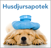 Husdjursapotek