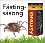 Fästingar
