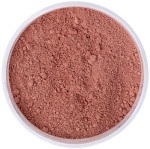 IDUN Minerals Rouge Lingon