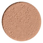 IDUN Minerals Foundation Disa