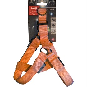 Bild på Active Canis Led Light Harness S Orange