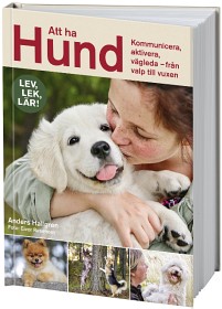 Bild på Att ha hund