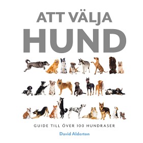 Bild på Att välja hund
