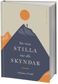 Bild på Att vara stilla när allt skyndar
