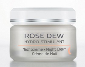 Bild på Börlind Rose Dew Nattcreme 50 ml