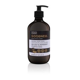 Bild på Baylis & Harding Goodness Sea Kelp & Peppermint Hand Wash 500 ml