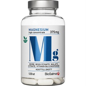 Bild på BioSalma Magnesium 375 mg 120 tabletter