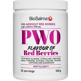 Bild på BioSalma PWO Red Berries 500 g