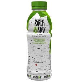 Bild på Birch Water 500 ml