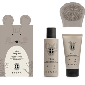 Bild på BJÖRK VÄXA Baby Box (Face&Body Balm, Hair&Body Oil, Scalp Brush)