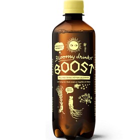 Bild på Bloomy Drinks Elderflower Ginger 500 ml