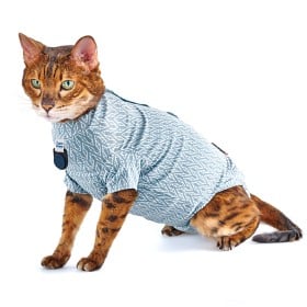 Bild på BUSTER Body Suit Step'n Go för Katter med CalmDown knapphållare, XXS, Deep Blue