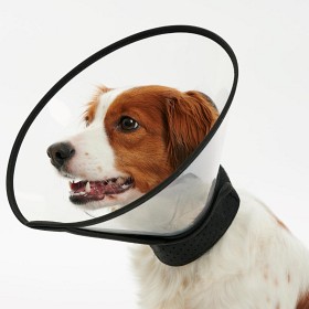Bild på BUSTER Complete Hundkrage, 15 cm  kompatibel med CalmDown Feromonknapp