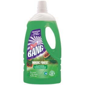 Bild på Cillit Bang Universal Nordic Forest allrengöring 1000 ml