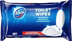 Bild på Domestos Toilet Wipes Original 40 st