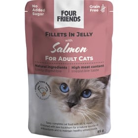 Bild på FourFriends Adult Salmon in Jelly Pouch 85 g