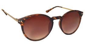 Bild på Haga Eyewear Corsica Transparent Brown