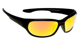Bild på Haga Eyewear Vancouver Black