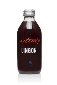 Bild på Holistic Lingonjuice 270 ml