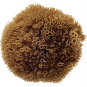 Bild på Hydréa London Grass Sea Sponge Caribbean 4,0W