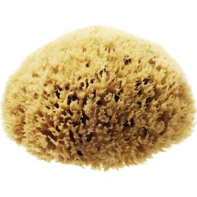 Bild på Hydréa London Honeycomb Sea Sponge 5,0 N