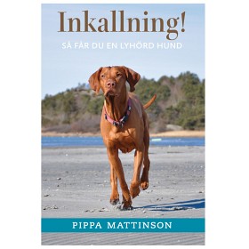 Bild på Inkallning! Så får du en lyhörd hund