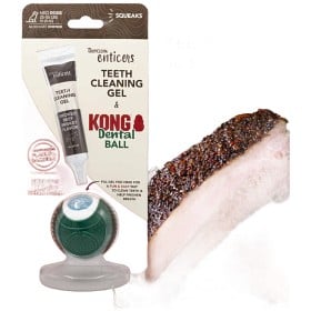 Bild på Tropiclean Oxymed Kong Denta Ball M för hund 11-25 kg
