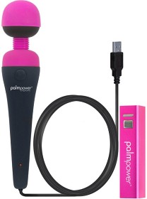Bild på PalmPower Plug and Play Massager