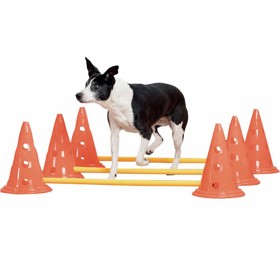 Bild på Pawise Agility-hinder med koner 30 cm