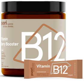 Bild på Puori B12 Vitamin Berry Booster 20 st