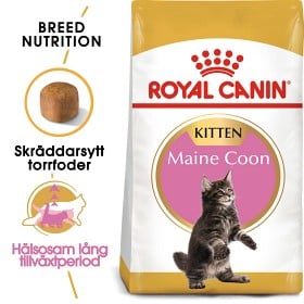 Bild på Royal Canin Maine Coon Kitten Torrfoder för kattunge 10 kg