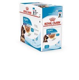Bild på Royal Canin Maxi Puppy Gravy Våtfoder för hundvalp 10x140 g