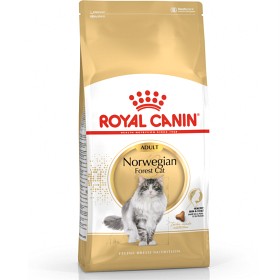 Bild på Royal Canin Norwegian Forest Cat Adult Torrfoder för katt 2 kg