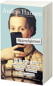 Bild på Skärmhjärnan storpocket