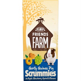 Bild på Tiny Friends Farm Guinea Pig Scrummies 120 g