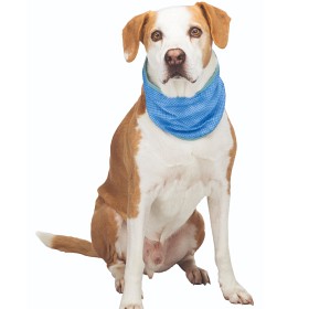 Bild på Trixie Kylbandana PVA Small 20-30 cm