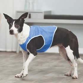 Bild på Trixie Kylväst PVA M: 30 cm