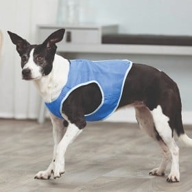 Bild på Trixie Kylväst PVA XS: 20 cm
