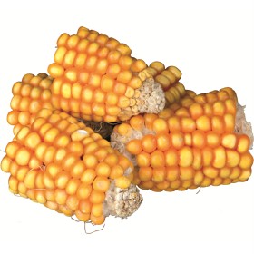 Bild på TRiXiE Majskolv i bitar 300 g