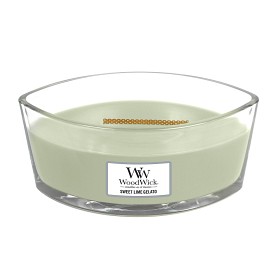 Bild på WoodWick Sweet Lime Gelato Ellipse
