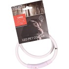 Active Canis USB LED-halsband, Vit