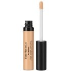 bareMinerals ORIGINAL Liquid Mineral Concealer Light 2C 6 ml