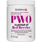 BioSalma PWO Red Berries 500 g