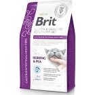 Brit GF Vet Diet Cat Gastrointestinal High Fibre 2 kg