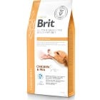 Brit GF Vet Diet Dog Cardio Renal 6 kg