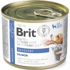 Brit GF Vet Diet Dog + Cat Can Recovery 200 g