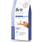 Brit GF Vet Diet Dog Gastrointestinal Junior 6 kg