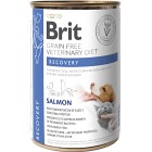 Brit GF Vet Diets Dog + Cat Can Recovery 400 g