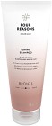 Color Mask Toning Shampoo Bronze 250 ml