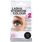 Depend Lash & Eyebrow Colour, Black